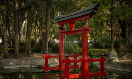 El Parque Masayoshi Ohira, un pedacito de Japón en Coyoacán.
