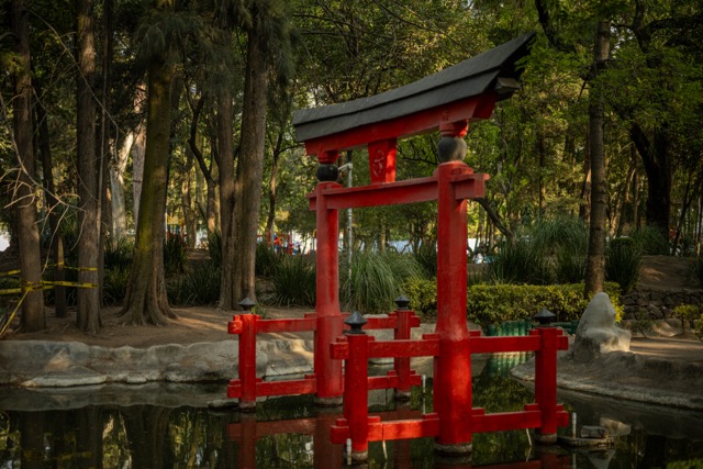El Parque Masayoshi Ohira, un pedacito de Japón en Coyoacán.
